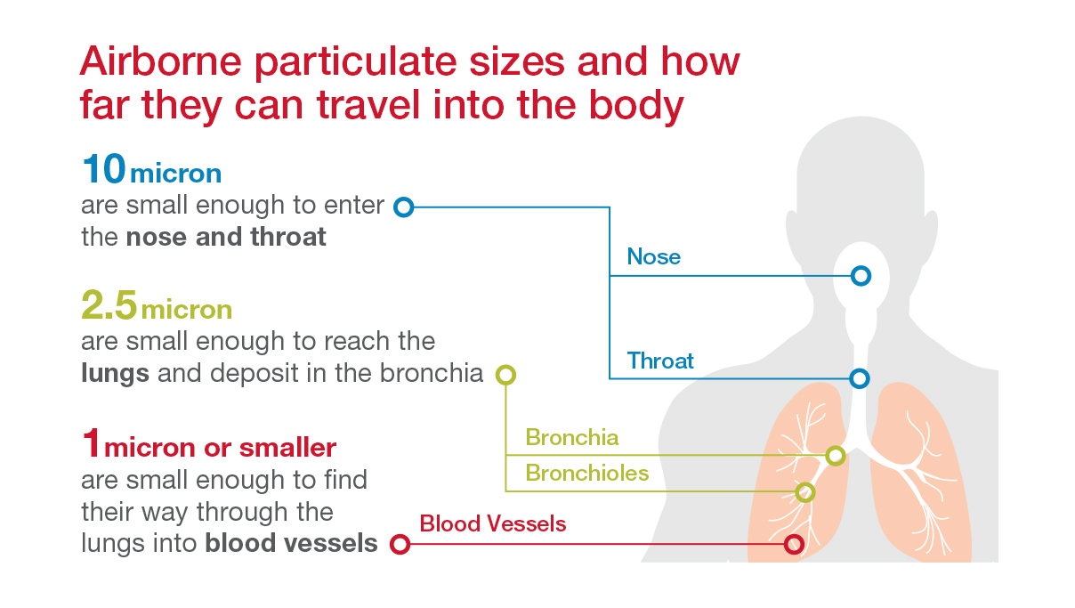 Particulate size lung penetration