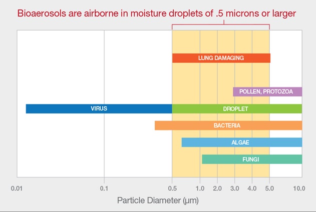Particle Diameter Comparison