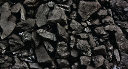 Coal