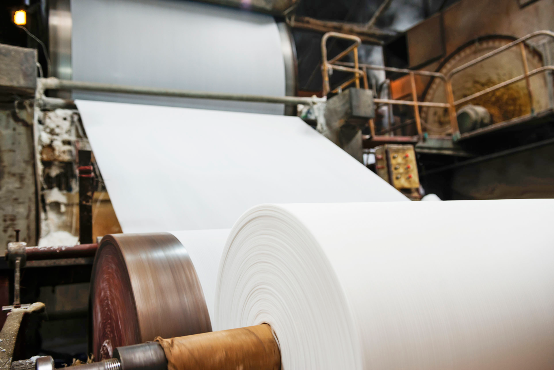 Pulp & Paper